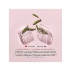 Age Control Suprême Sublime Advanced Light Day Cream For Normal To Combination Skin -Clinique || Clarins Sales https3A2F2Fimage.s5a.com2Fis2Fimage2FTheBay2F058655630585 alt123Fwid3D120026hei3D120026qlt3D9026resMode3Dsharp226op usm3D0.92C1.02C82C0 640x