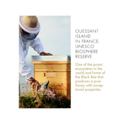 Guerlain Abeille Royale Eye R Repair & Eye-Lifting Effect Serum -Clinique || Clarins Sales https3A2F2Fimage.s5a.com2Fis2Fimage2FTheBay2F3346470615380 alt33Fwid3D120026hei3D120026qlt3D9026resMode3Dsharp226op usm3D0.92C1.02C82C0 640x