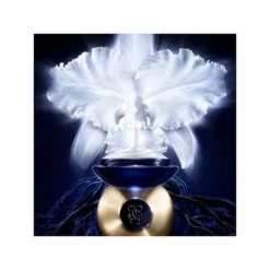 Guerlain Orchidée Impériale -Clinique || Clarins Sales https3A2F2Fimage.s5a.com2Fis2Fimage2FTheBay2F3346470616684 alt23Fwid3D120026hei3D120026qlt3D9026resMode3Dsharp226op usm3D0.92C1.02C82C0 640x