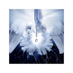 Guerlain Orchidée Impériale The Molecular Concentrate Eye Cream -Clinique || Clarins Sales https3A2F2Fimage.s5a.com2Fis2Fimage2FTheBay2F3346470616875 alt63Fwid3D120026hei3D120026qlt3D9026resMode3Dsharp226op usm3D0.92C1.02C82C0 640x