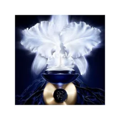 Guerlain Orchidée Impériale The Cream Refill -Clinique || Clarins Sales https3A2F2Fimage.s5a.com2Fis2Fimage2FTheBay2F3346470617544 alt33Fwid3D120026hei3D120026qlt3D9026resMode3Dsharp226op usm3D0.92C1.02C82C0 640x