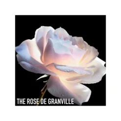 DIOR Prestige Le Micro-Serum De Rose Eye -Clinique || Clarins Sales https3A2F2Fimage.s5a.com2Fis2Fimage2FTheBay2F3348901544528 alt53Fwid3D120026hei3D120026qlt3D9026resMode3Dsharp226op usm3D0.92C1.02C82C0 640x