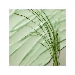 Philosophy Nature In A Jar Skin Rehab Balm With Wheatgrass -Clinique || Clarins Sales https3A2F2Fimage.s5a.com2Fis2Fimage2FTheBay2F3616301641537 alt23Fwid3D120026hei3D120026qlt3D9026resMode3Dsharp226op usm3D0.92C1.02C82C0 640x