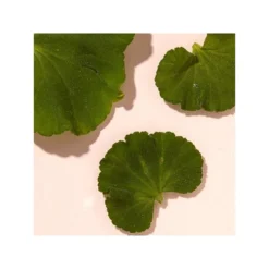 Eve Lom Rescue Toner -Clinique || Clarins Sales https3A2F2Fimage.s5a.com2Fis2Fimage2FTheBay2F5050013027834 alt43Fwid3D120026hei3D120026qlt3D9026resMode3Dsharp226op usm3D0.92C1.02C82C0 640x