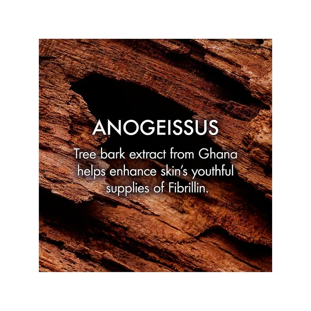 Origins Plantscription™ Retinol Night Moisturizer With Alpine Flower 10 Origins Plantscription™ Retinol Night Moisturizer With Alpine Flower - Image 8