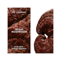 Origins Mega-Mushroom Relief & Resilience Soothing Treatment Lotion -Clinique || Clarins Sales https3A2F2Fimage.s5a.com2Fis2Fimage2FTheBay2F717334257801 alt43Fwid3D120026hei3D120026qlt3D9026resMode3Dsharp226op usm3D0.92C1.02C82C0 640x