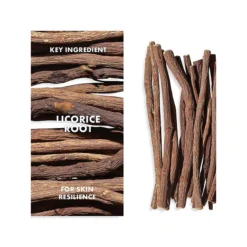 Origins Mega-Mushroom Relief & Resilience Soothing Treatment Lotion -Clinique || Clarins Sales https3A2F2Fimage.s5a.com2Fis2Fimage2FTheBay2F717334257818 alt53Fwid3D120026hei3D120026qlt3D9026resMode3Dsharp226op usm3D0.92C1.02C82C0 640x